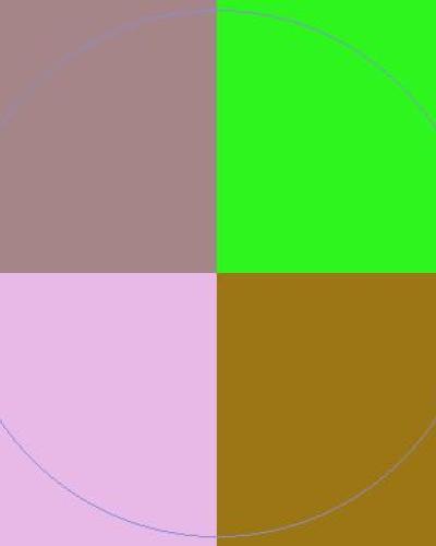 Abigo eligo elit mos premo.